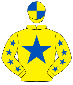 YELLOW, royal blue star, royal blue stars on sleeves, quartered cap