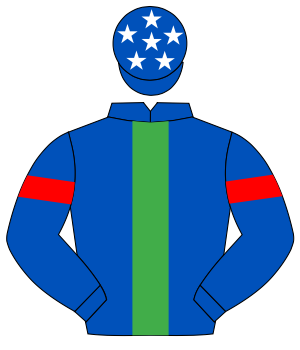 ROYAL BLUE, emerald green panel, red armlet, royal blue cap, white stars