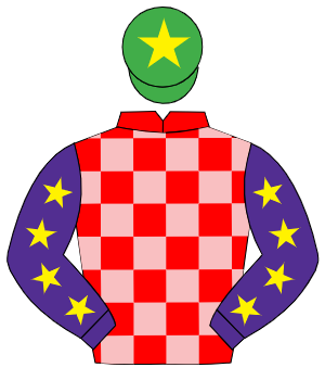 RED & PINK CHECK, purple sleeves, yellow stars, emerald green cap, yellow star
