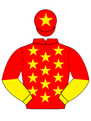 RED, yellow stars, yellow & red halved sleeves, red cap, yellow star