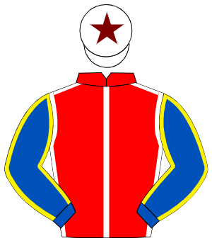 RED, white seams, royal blue sleeves, yellow seams, white cap, maroon star