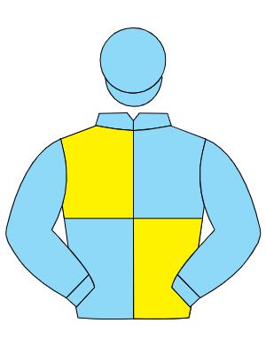 LIGHT BLUE & YELLOW QUARTERED, light blue sleeves and cap