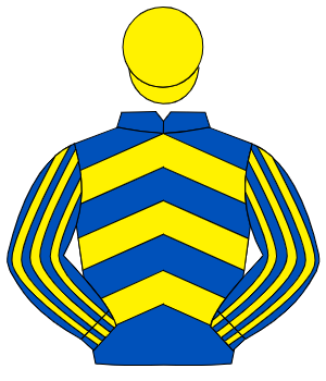 ROYAL BLUE & YELLOW CHEVRONS, striped sleeves, yellow cap