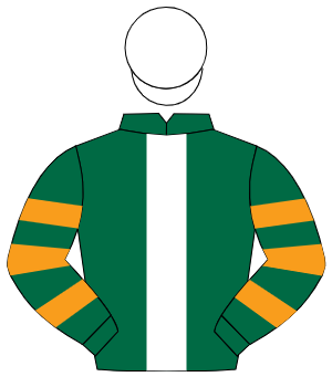 DARK GREEN, white panel, dark green & orange hooped sleeves, white cap