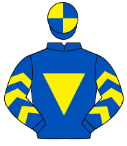 ROYAL BLUE, yellow inverted triangle, yellow chevrons on sleeves, quartered cap