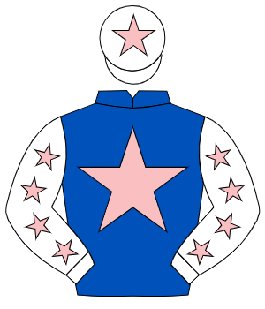 ROYAL BLUE, pink star, white sleeves, pink stars, white cap, pink star