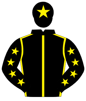 BLACK, yellow seams, yellow stars on sleeves, yellow star on cap