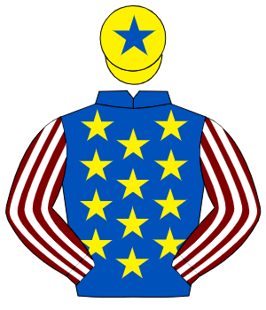 ROYAL BLUE, yellow stars, maroon & white striped sleeves, yellow cap, royal blue star