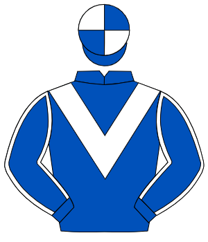 ROYAL BLUE, white chevron, white seams on sleeves, quartered cap