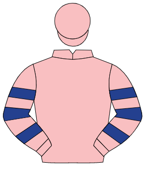 PINK, dark blue hooped sleeves, pink cap                                                                                                              