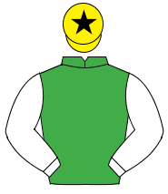 EMERALD GREEN, white sleeves, yellow cap, black star                                                                                                  