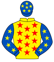 YELLOW, red stars,royal blue sleeves,yellow stars,royal blue cap,yellow stars                                                                         