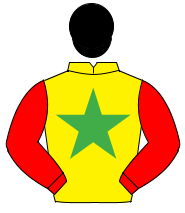 YELLOW, emerald green star, red sleeves, black cap                                                                                                    