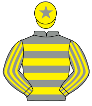 GREY & YELLOW HOOPS, striped sleeves, yellow cap, grey star