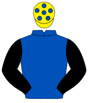 ROYAL BLUE, black sleeves, yellow cap, blue spots                                                                                                     