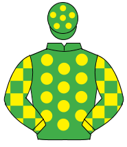 EMERALD GREEN, yellow spots, check sleeves, emerald green cap, yellow spots                                                                           