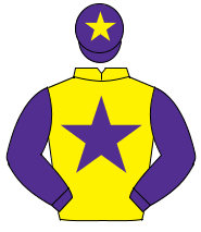 YELLOW, purple star & sleeves, purple cap, yellow star                                                                                                