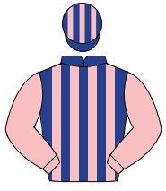 DARK BLUE & PINK STRIPES, pink sleeves, striped cap                                                                                                   