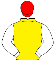 YELLOW, white sleeves, red cap