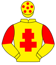 YELLOW, red cross of lorraine, halved sleeves, red spots on cap                                                                                       