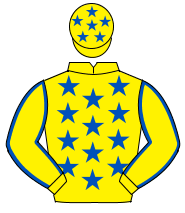 YELLOW, royal blue stars, royal blue seams on sleeves, yellow cap, royal blue stars                                                                   