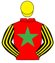 RED, emerald green star, black & yellow striped sleeves, yellow cap                                                                                   