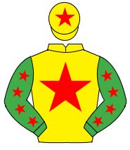 YELLOW, red star, emerald green sleeves, red stars, yellow cap, red star                                                                              