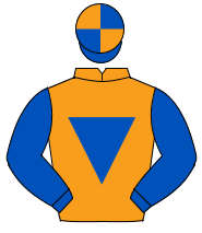 ORANGE, royal blue inverted triangle & sleeves, royal blue & orange quartered cap                                                                     