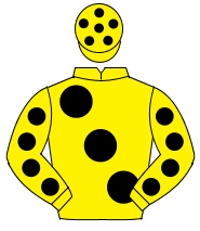 YELLOW, large black spots, black spots on sleeves, yellow cap, black spots                                                                            