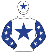 WHITE, dark blue star, dark blue sleeves, white stars, white cap, dark blue star