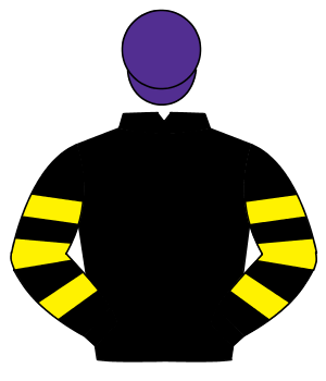 BLACK, black & yellow hooped sleeves, purple cap