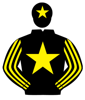 BLACK, yellow star, striped sleeves, yellow star on cap                                                                                               