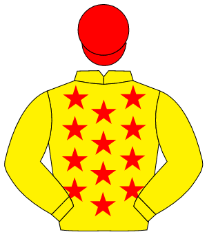 YELLOW, red stars, yellow sleeves, red cap