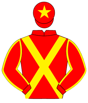 RED, yellow cross sashes, yellow seams on sleeves, yellow star on cap                                                                                 