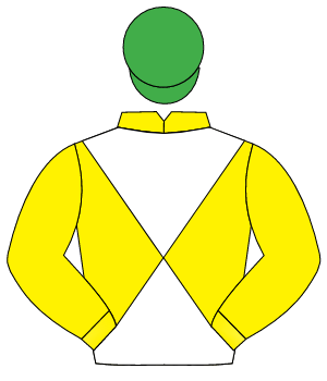 YELLOW & WHITE DIABOLO, yellow sleeves, emerald green cap