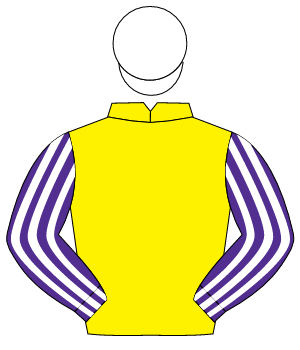 YELLOW, purple & white striped sleeves, white cap                                                                                                     