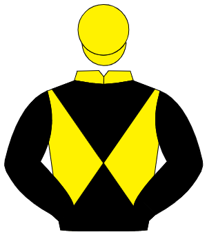 YELLOW & BLACK DIABOLO, black sleeves, yellow cap                                                                                                     
