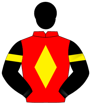 RED, yellow diamond, black sleeves, yellow armlet, black cap                                                                                          