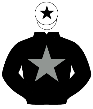 BLACK, grey star, white cap, black star                                                                                                               