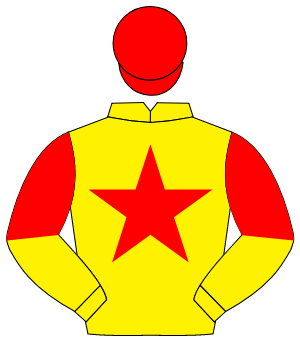 YELLOW, red star, halved sleeves, red cap                                                                                                             
