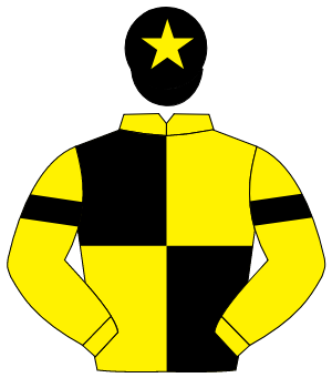 YELLOW & BLACK QUARTERED, black armlet, black cap, yellow star                                                                                        