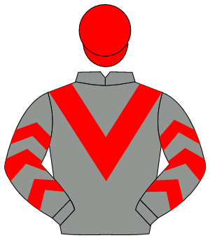GREY, red chevron, red chevrons on sleeves, red cap                                                                                                   