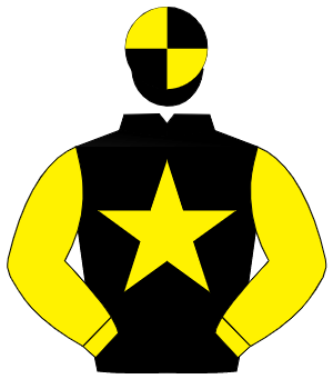 BLACK, yellow star & sleeves, quartered cap
