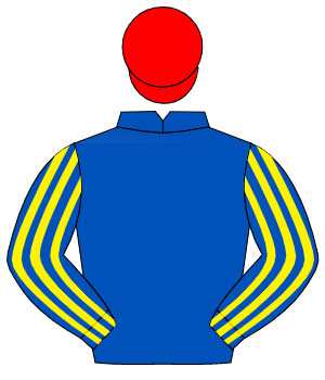 ROYAL BLUE, royal blue & yellow striped sleeves, red cap