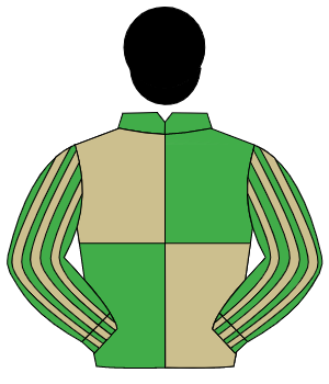 EMERALD GREEN & BEIGE QUARTERED, striped sleeves, black cap                                                                                           