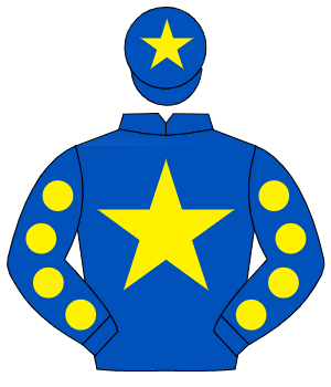 ROYAL BLUE, yellow star, yellow spots on sleeves, yellow star on cap