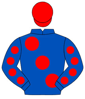 ROYAL BLUE, large red spots, red spots on sleeves, red cap                                                                                            