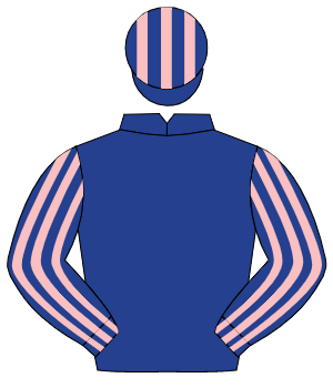 DARK BLUE, dark blue & pink striped sleeves, striped cap
