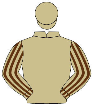 BEIGE, beige & brown striped sleeves, beige cap