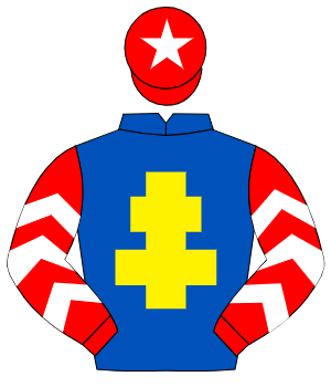 ROYAL BLUE, yellow cross of lorraine, red sleeves, white chevrons, red cap, white star
